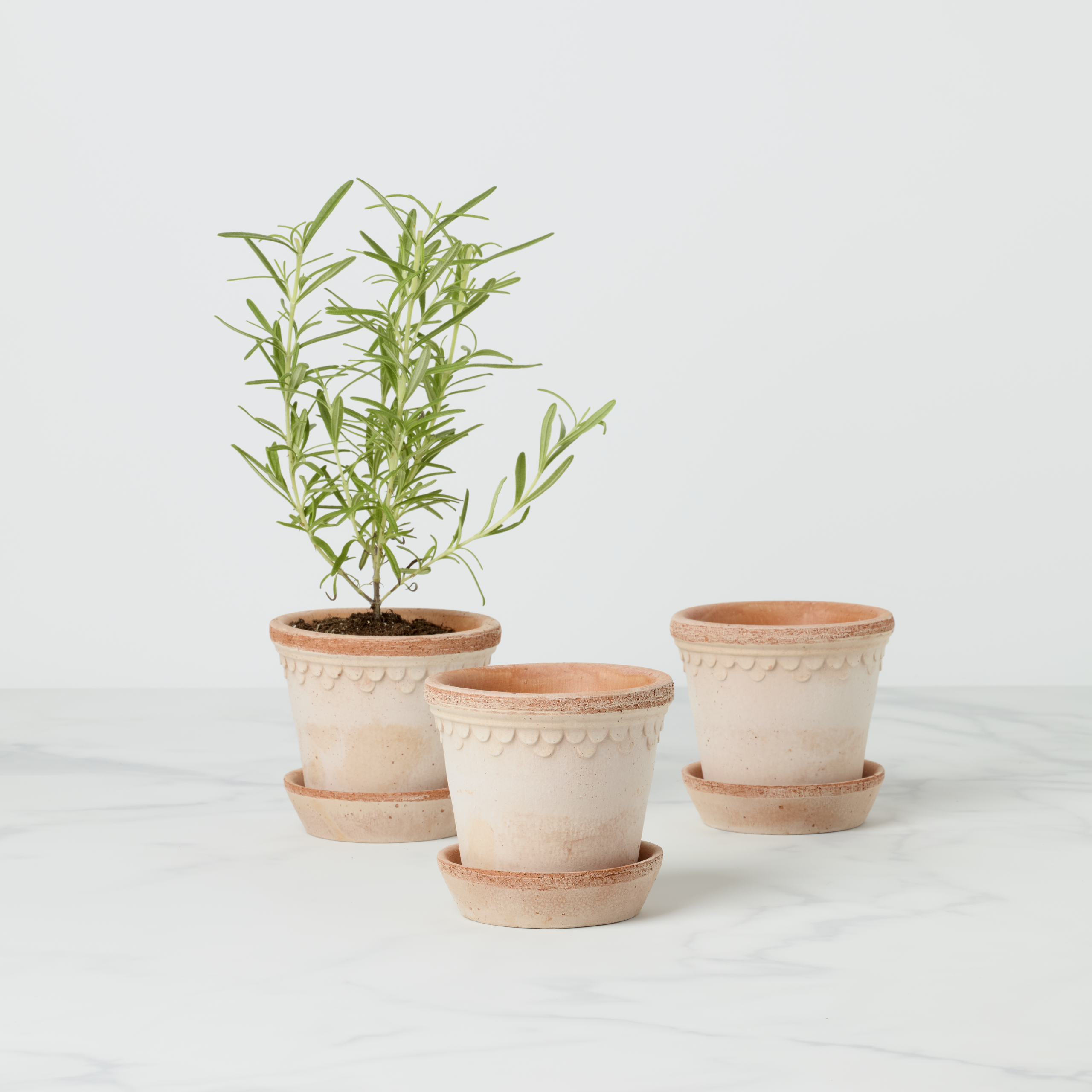 Kobenhavner Raw Rosa Terracotta Pots, Set of 3